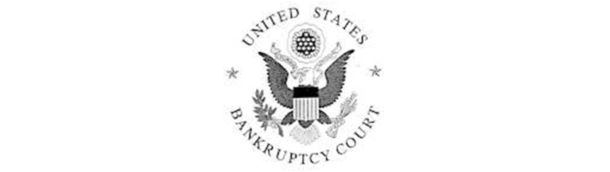 US-bankruptcy-court-client-logo v2